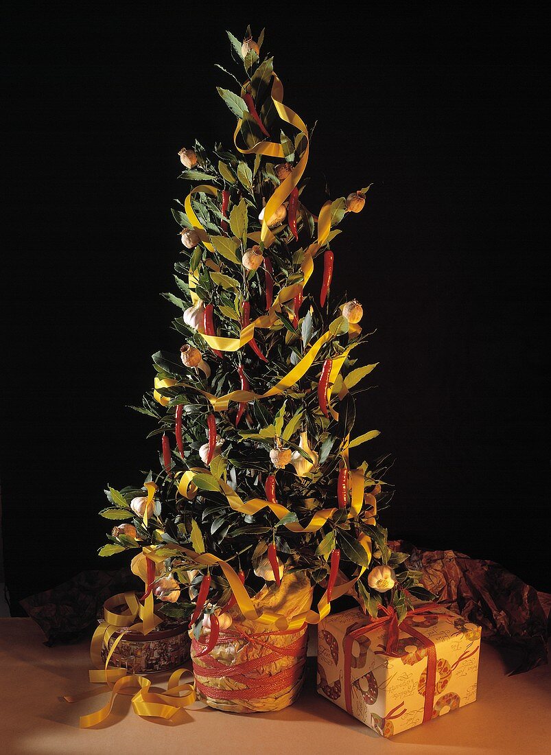Lorbeerbaum als Weihnachtsbaum