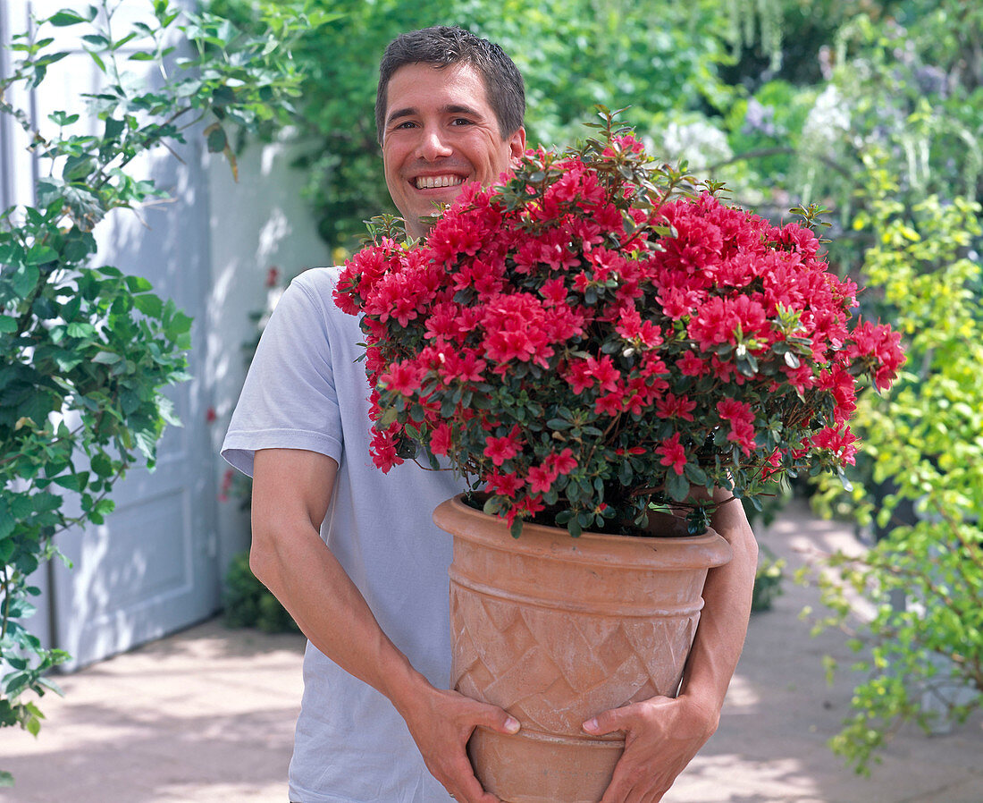 Young man with Rhododendron japonicum
