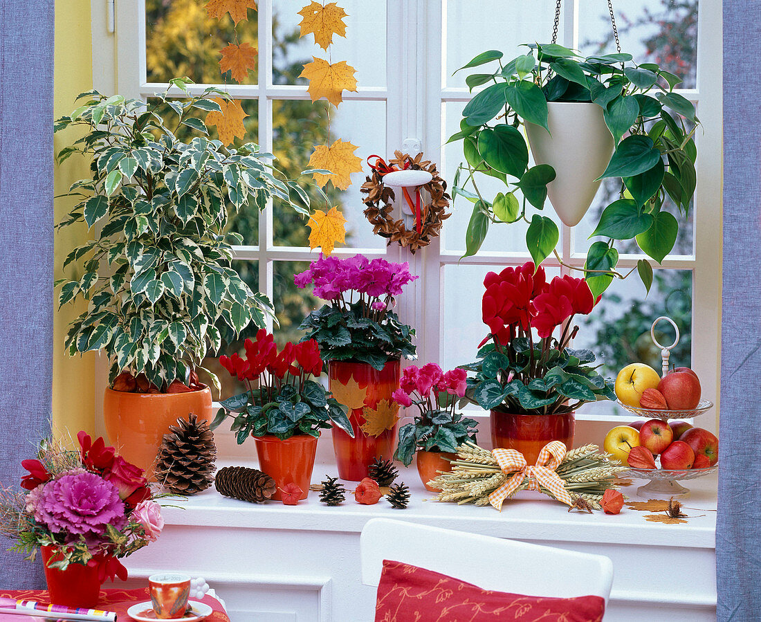 Seasonal window in autumn