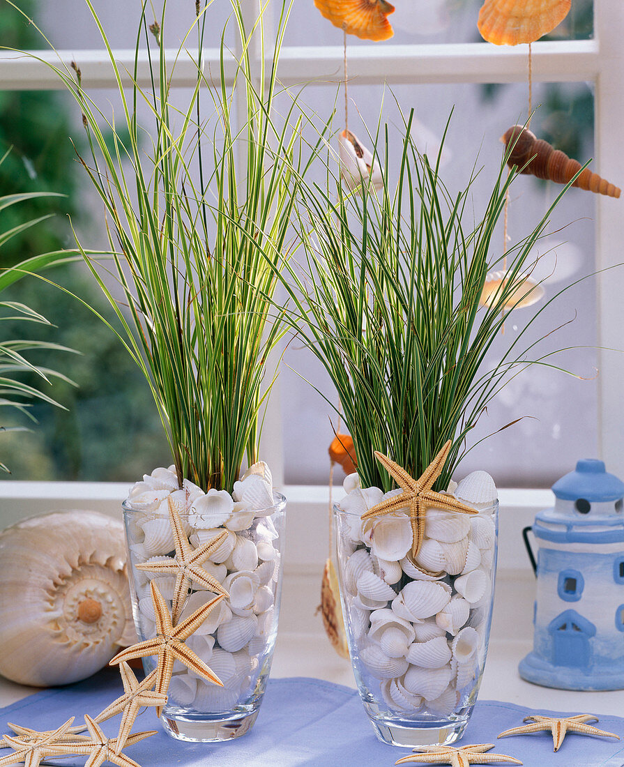 Carex in clam-filled glasses and starfish necklace