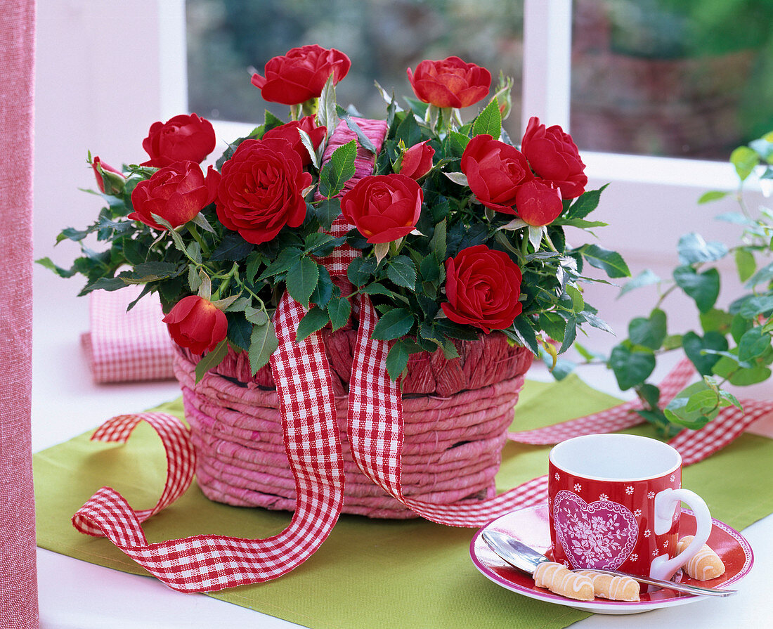 Pink (potted rose) in basket with chequered ribbon at window, espresso cup