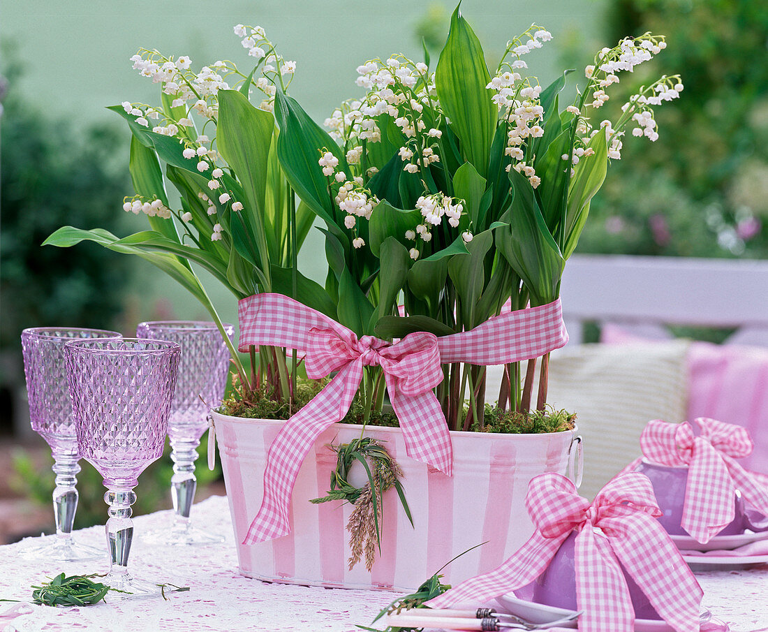 Convallaria majalis in pink and white metal jardiniere