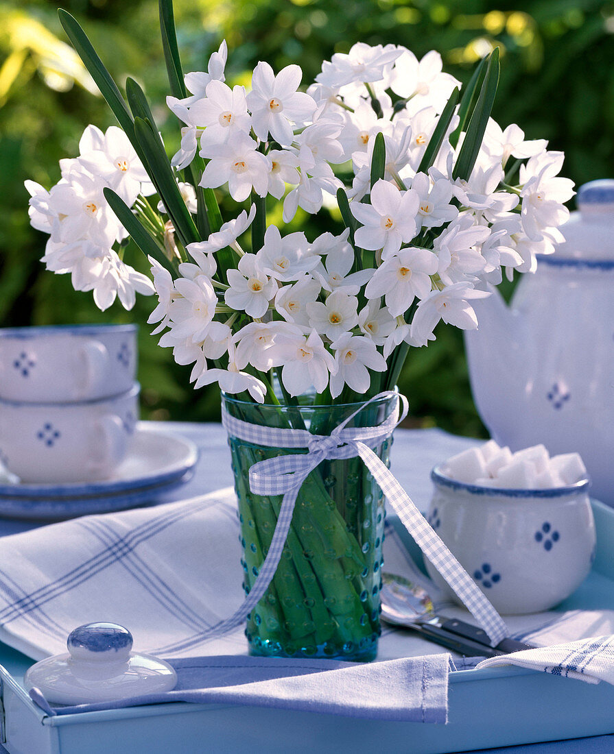 Bouquet of white Narcissus 'Ziva' syn. 'Paperwhite'