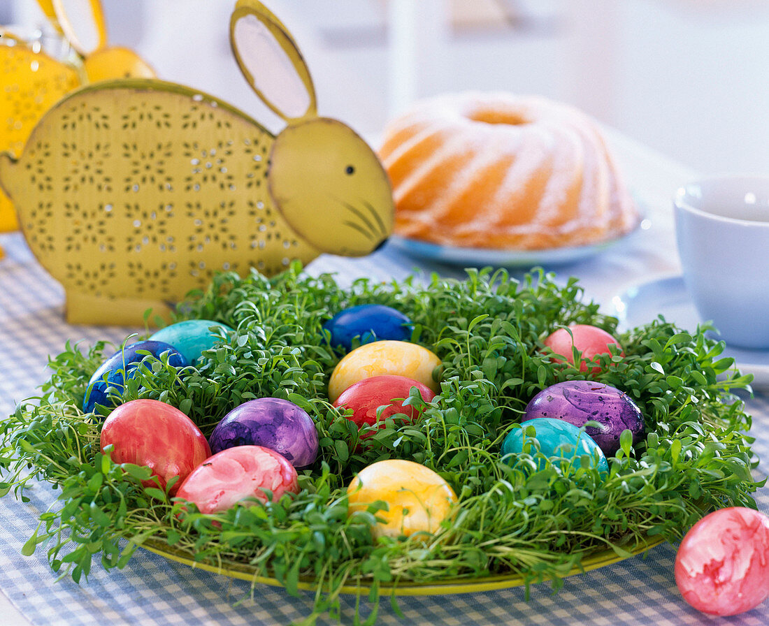 Easter nest of Lepidium (cress) with Easter eggs