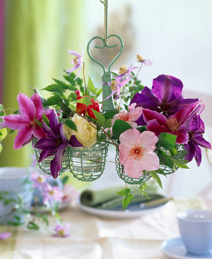 Clematis (Waldrebe, Blüten und Ranken), Rosa (Rosen)