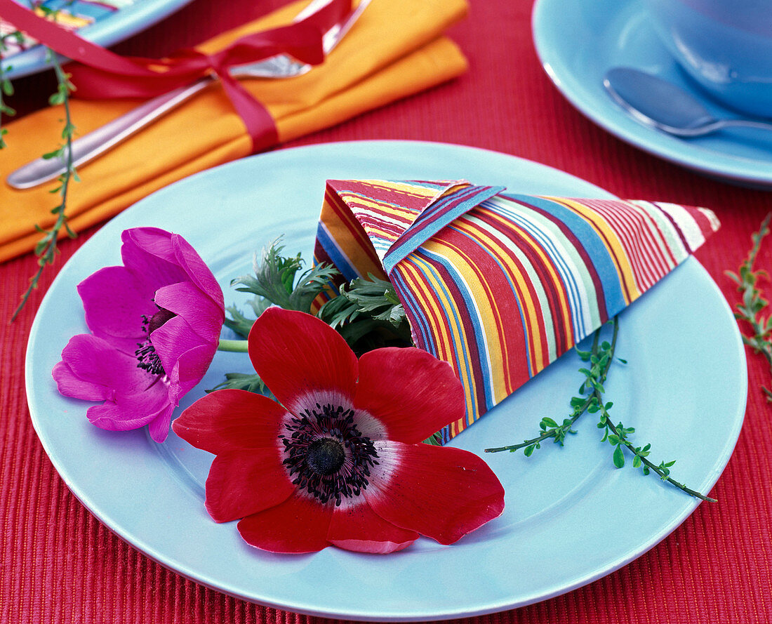 Anemone coronaria (Kronenanemone), Vaccinium (Blaubeerzweige)