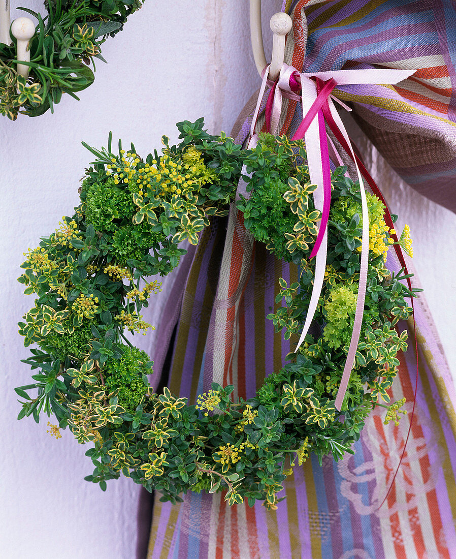 Kranz aus Origanum (Oregano), Thymus (Thymian), Petroselinum