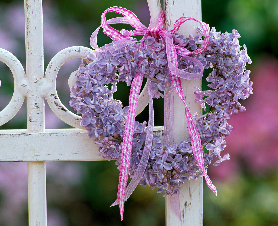 Wreath of light purple Syringa (lilac) with pink ribbon tied to a white metal fence