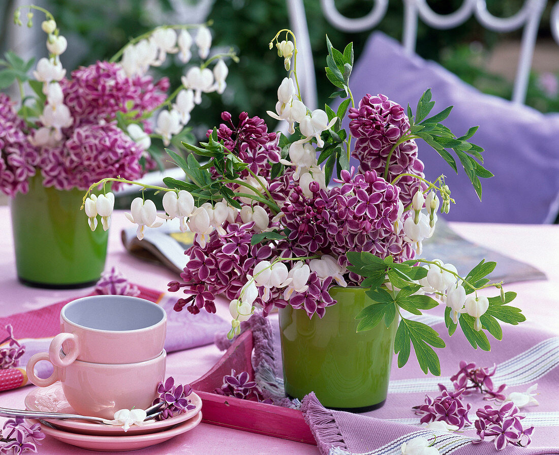 Syringa (Flieder, lila mit weißem Rand), Dicentra (Tränendes Herz)