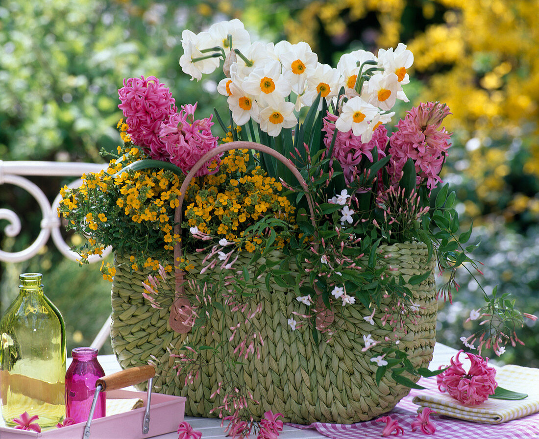 Flechtkorb mit Narcissus (Narzissen), Hyacinthus (Hyazinthen), Erysimum