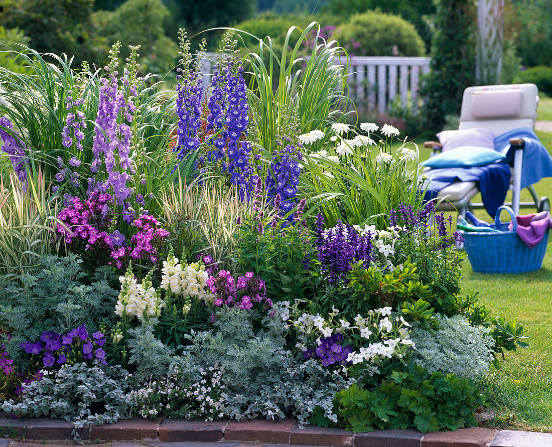 Blue-silver bed with delphinium, phlox