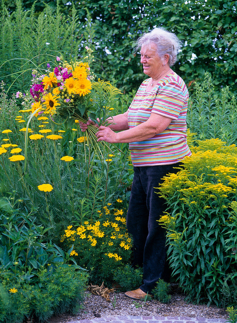 Frau bindet Blumenstrauß aus Heliopsis (Sonnenauge)