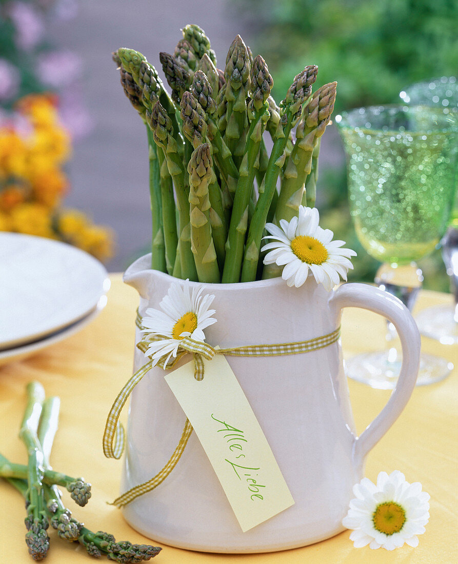 Green Asparagus (Asparagus) in a jug decorated with flowers of Leucanthemum
