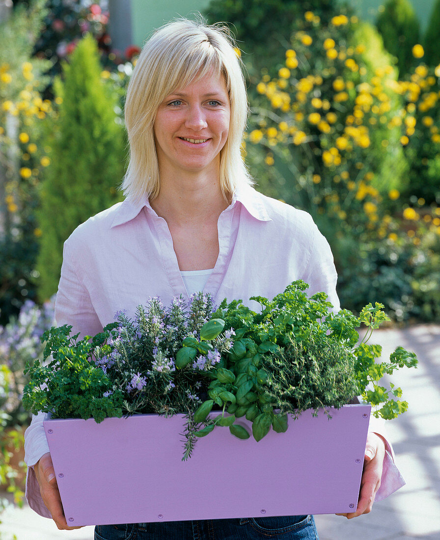 Planting a wooden box with herbs (2/2)