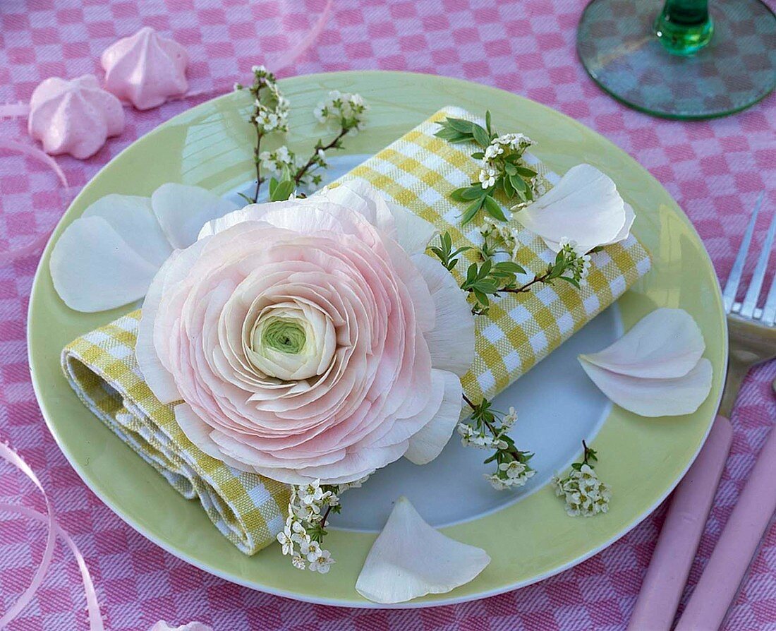Ranunculus flower with sprigs of spirea as napkin decoration
