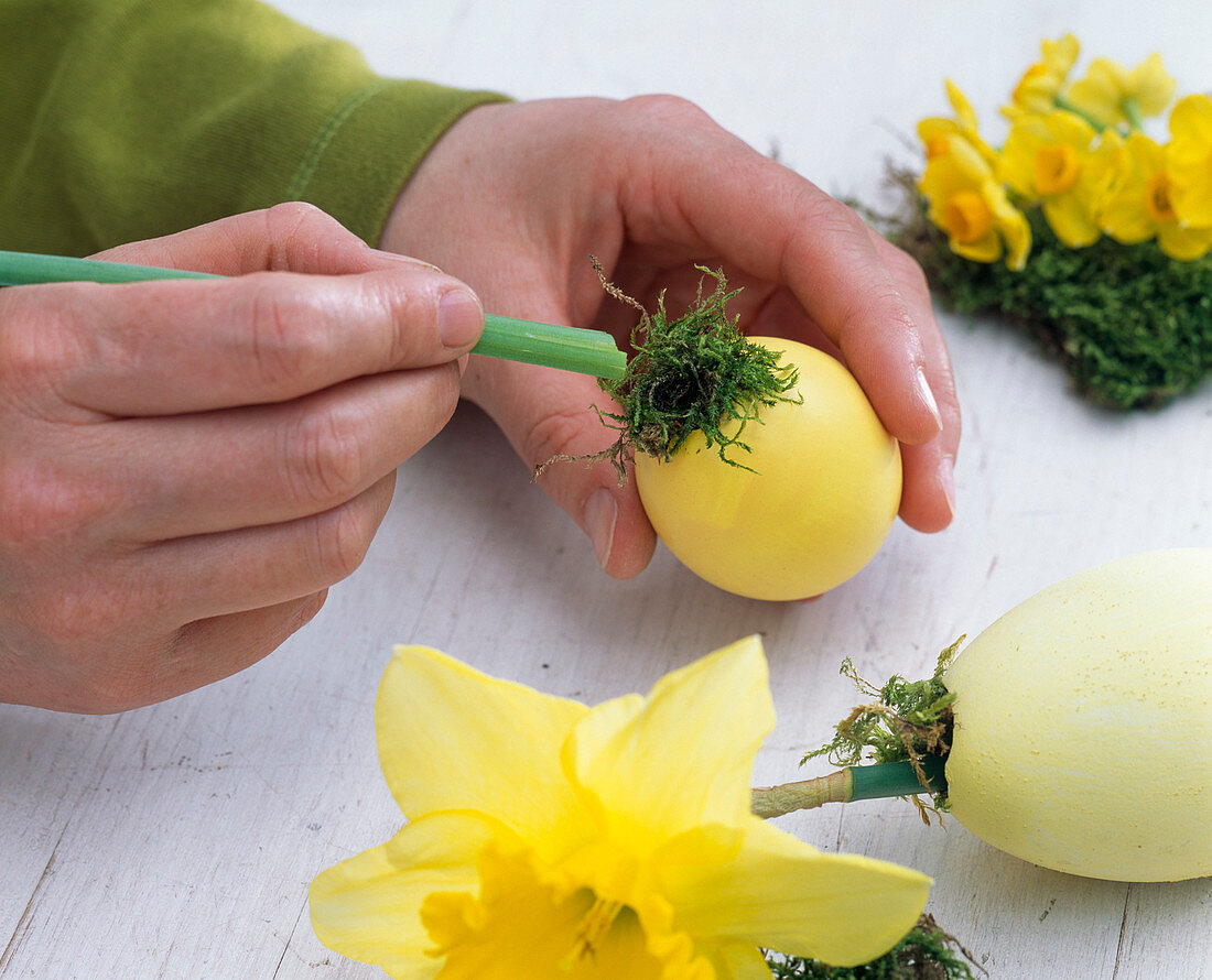 Daffodils stuck through eggs in bouquet (3/4)