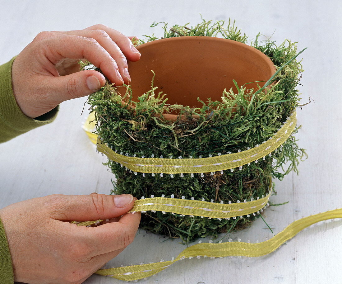 Clay pot wrapped with moss (3/4)