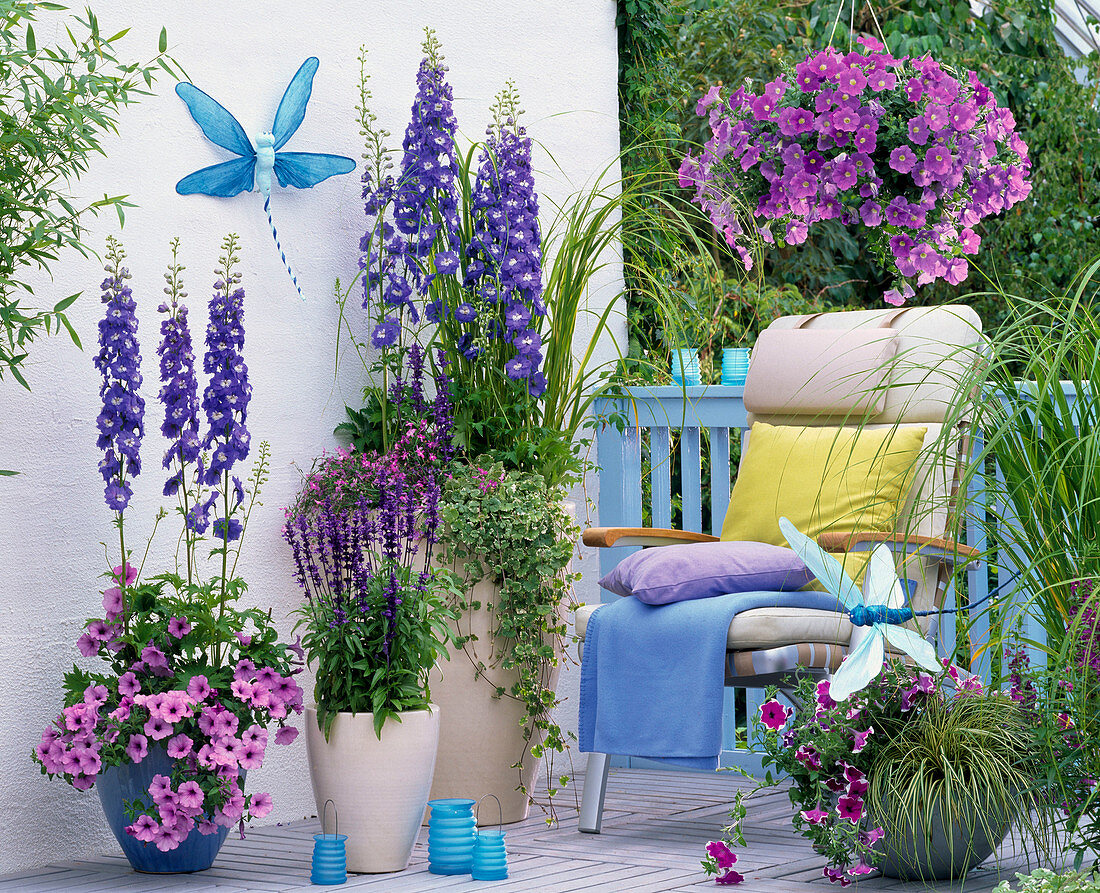 Blauer Balkon mit Delphinium (Rittersporn), Petunia (Petunien)