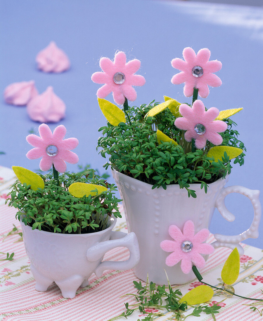 Cress with pink felt flowers (3/3)