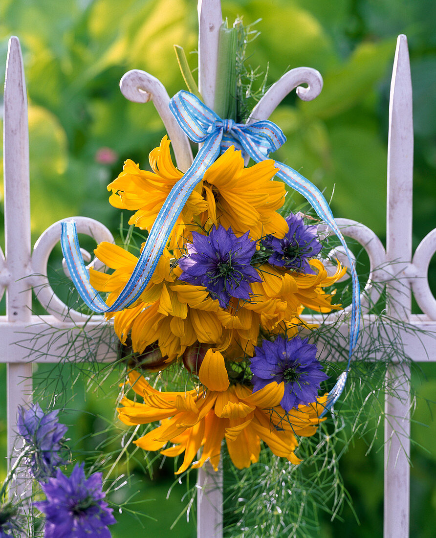 Small bouquet of Heliopsis and Nigella