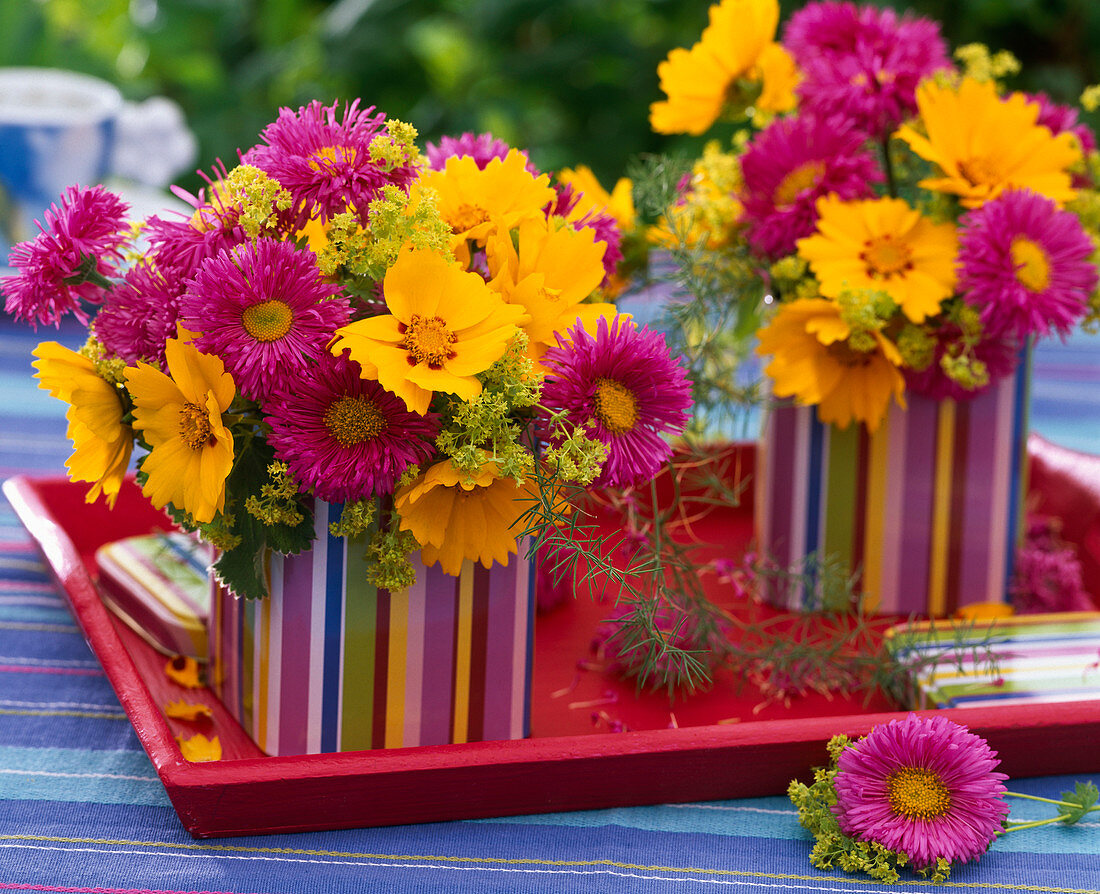 Small bouquets from Erigeron, Coreopsis