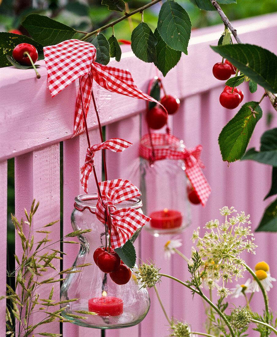 Lanterns with Prunus (cherry) with checkered ribbons on fence