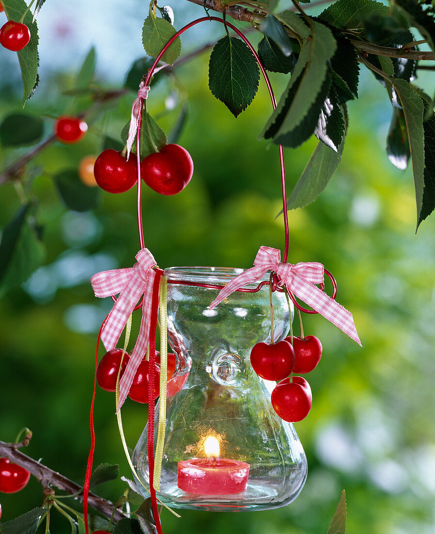 Lantern with Prunus decorated on branch of Prunus