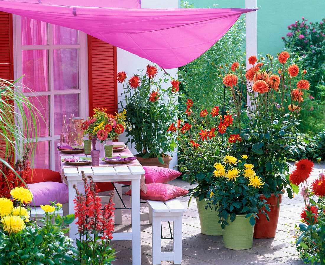 Dahlia terrace with awning