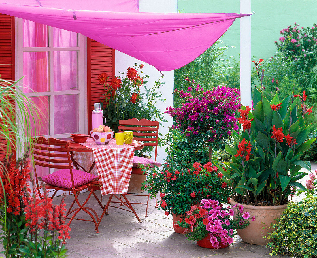 Pink-red terrace with awning