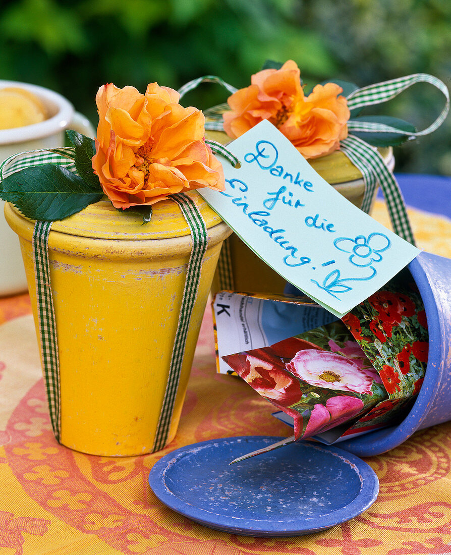 Rosa (rose) on painted flowerpot with lid, 'Thank you for inviting me' sign