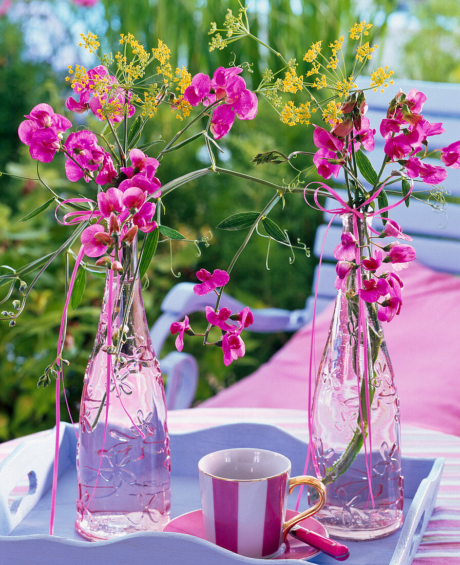 Lathyrus (Duftwicken), Foeniculum (Fenchel) in Glasflaschen auf Tablett