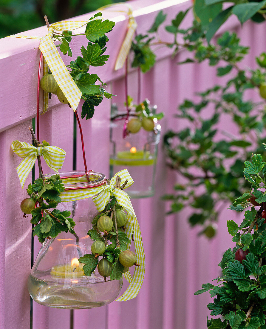 Lantern with Ribes (gooseberries) and chequered bows on balcony railings