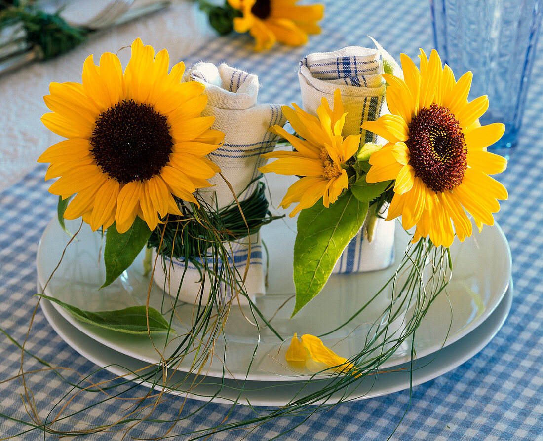 Blüten von Helianthus (Sonnenblumen) an Serviettenringen aus Gras um Serviette