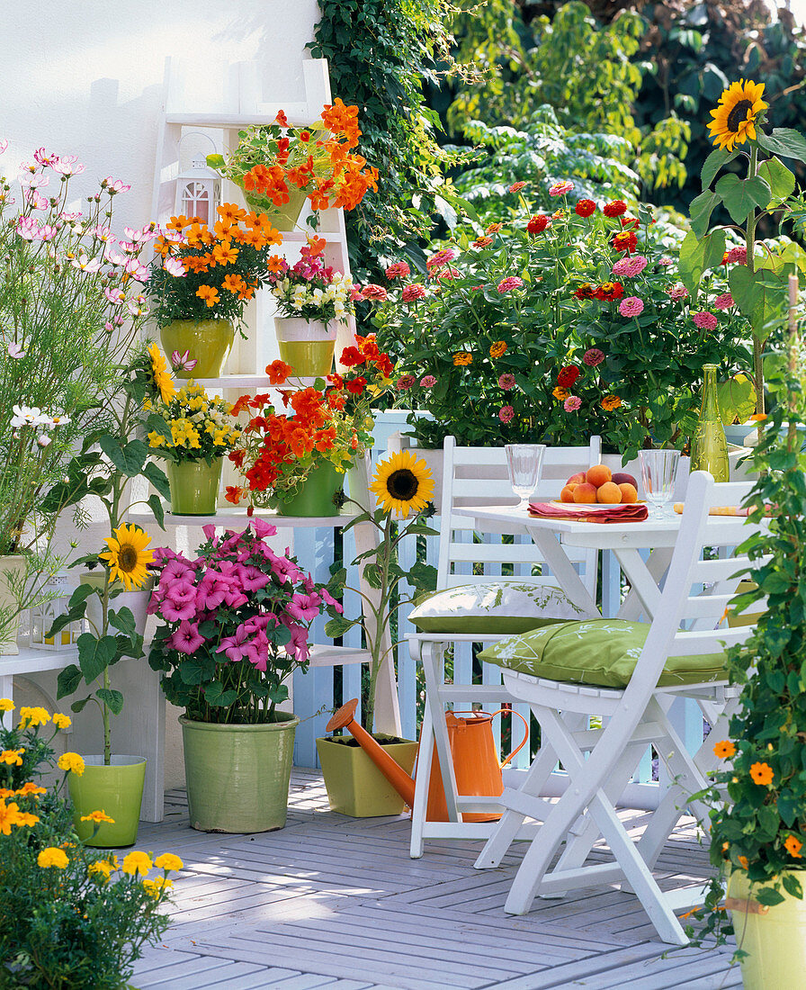 Colorful sowing balcony