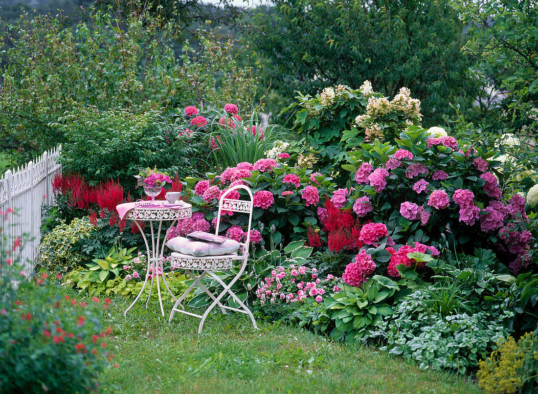 Shadow bed with Hydrangea macrophylla and quercifolia