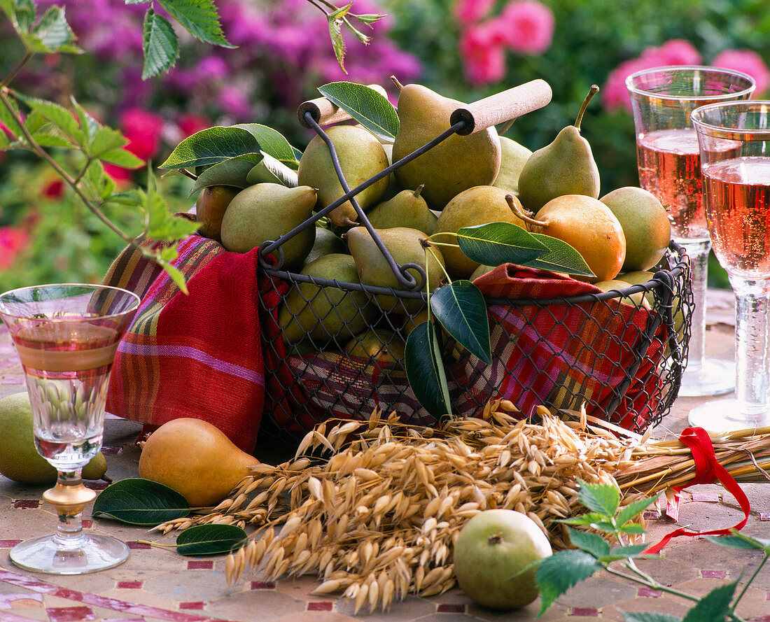 Pyrus (pears) in metal basket with towel, Avena (oats) bundled up