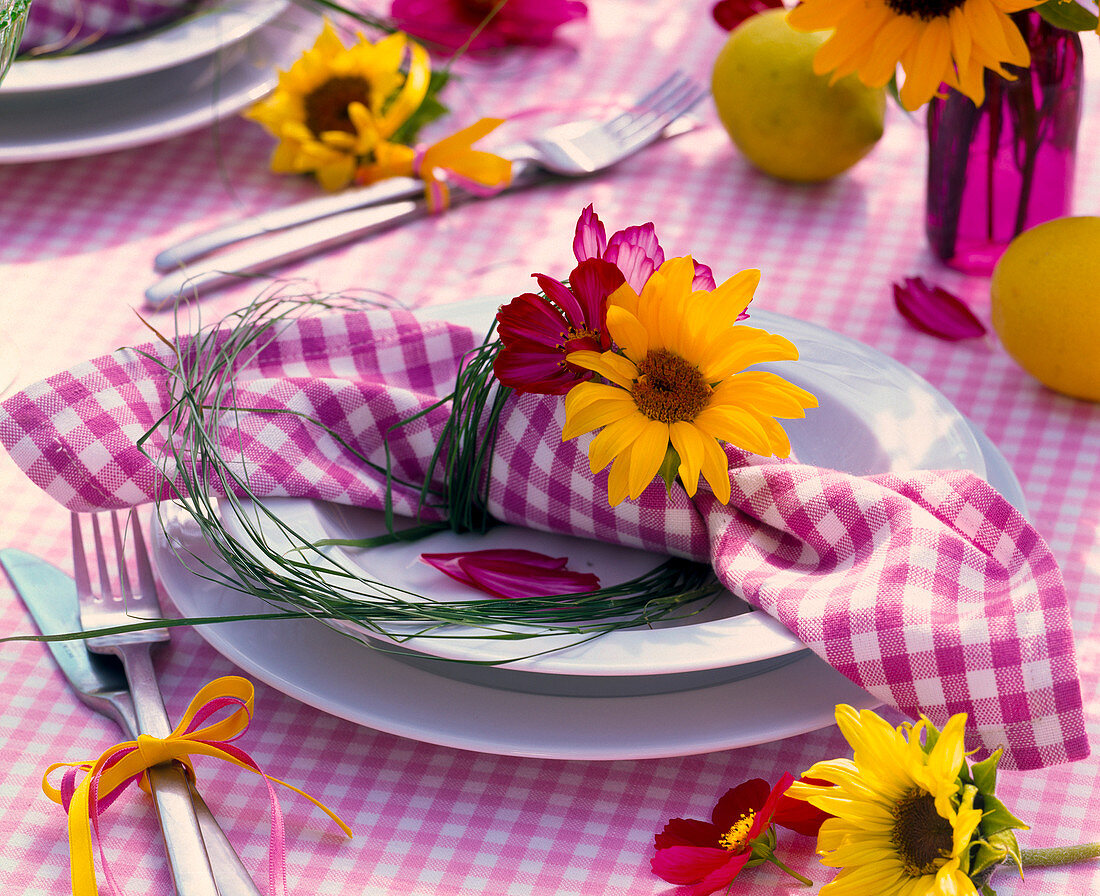 Helianthus (sunflower), Cosmos (ornamental basket) on checked napkin