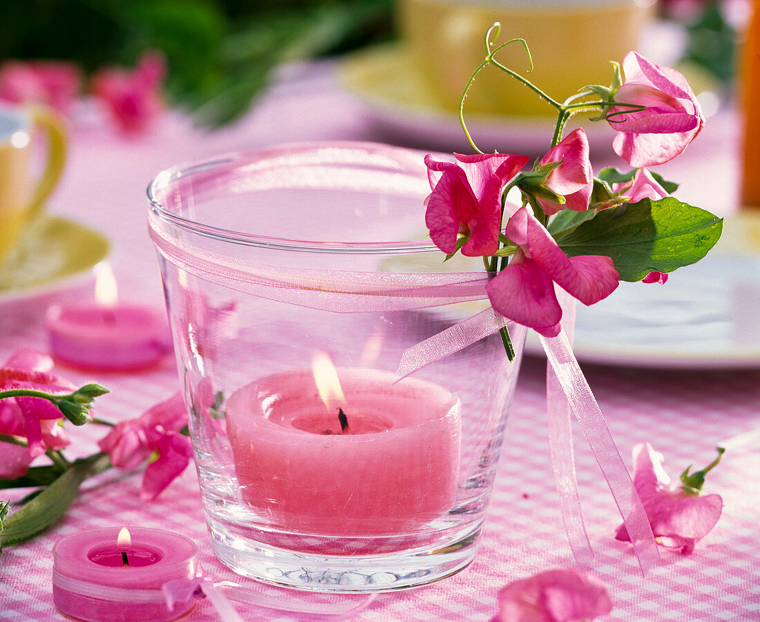 Lantern with Lathyrus (sweet pea) with pink tea light and ribbon