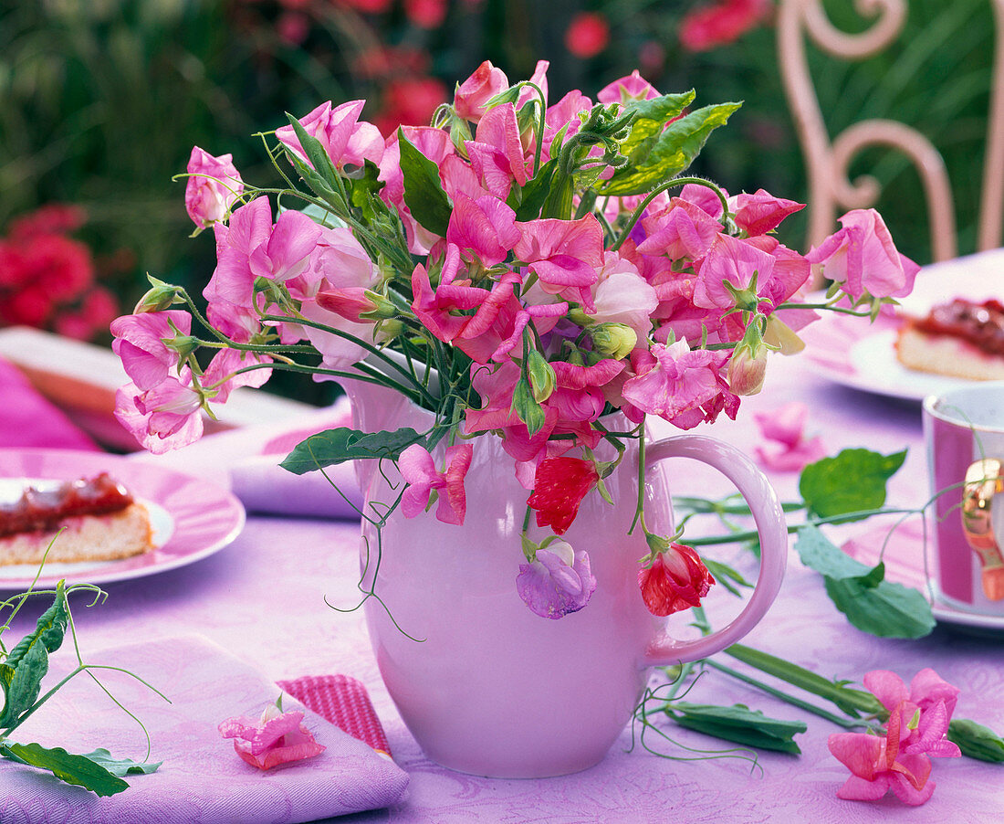 Bouquet of Lathyrus (sweet pea) in a jug, napkin