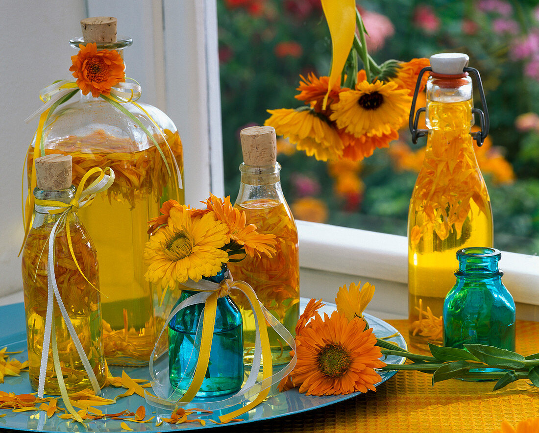 Blütenblätter von Calendula (Ringelblumen) in Flaschen mit Öl, Blüten,