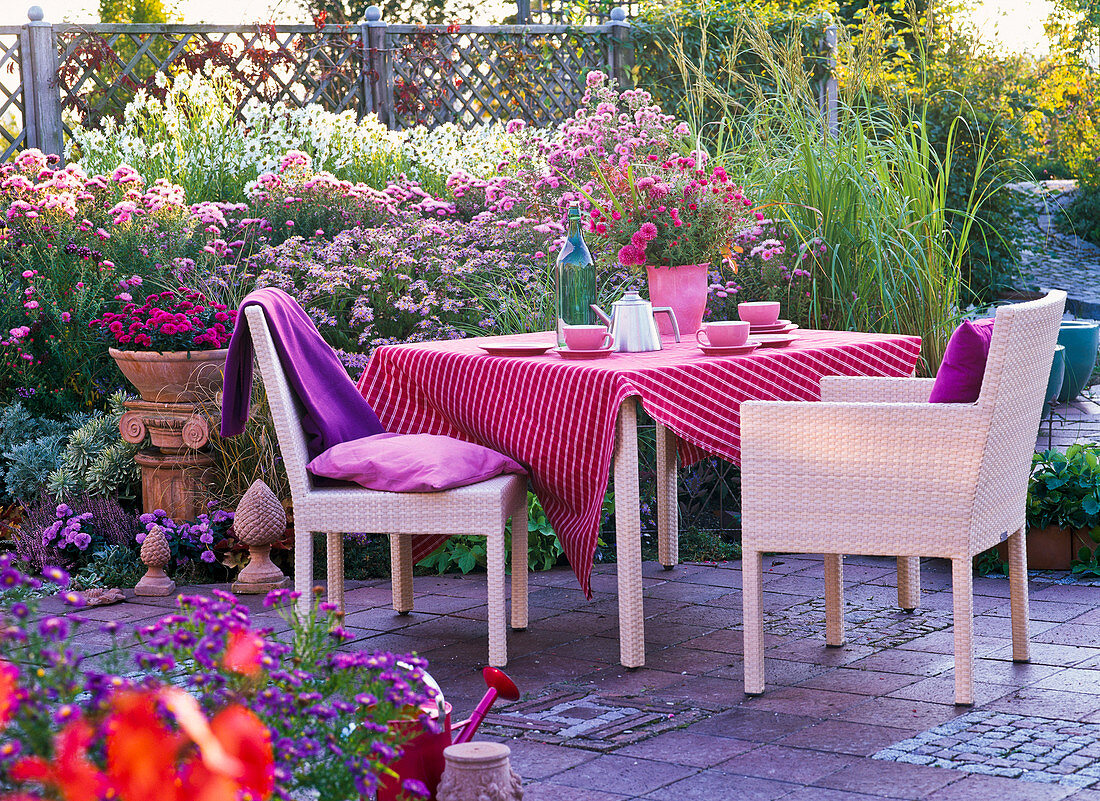 Seating group in front of flowering bed with aster (autumn asters)