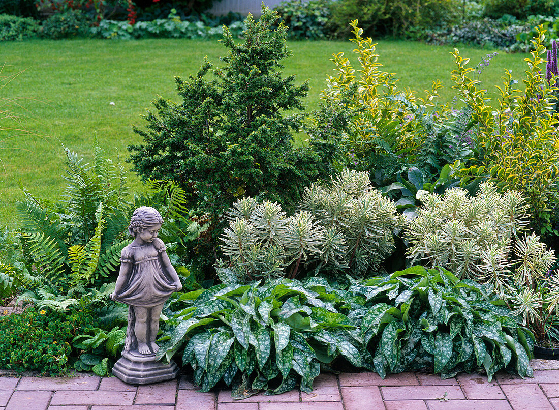 Green border with woody plants and leafy ornamental perennials