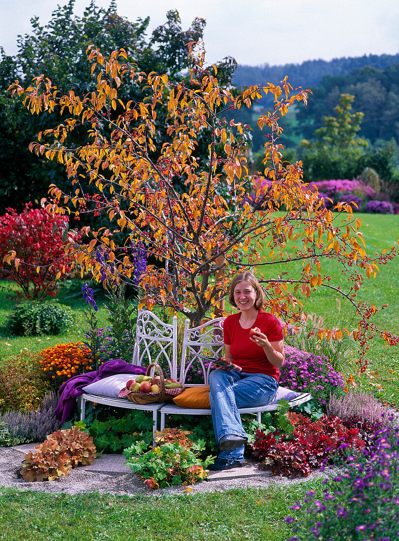 Junge Frau auf weißer Bank aus Metall vor Malus (Zierapfelbaum) in Herbstfarbe
