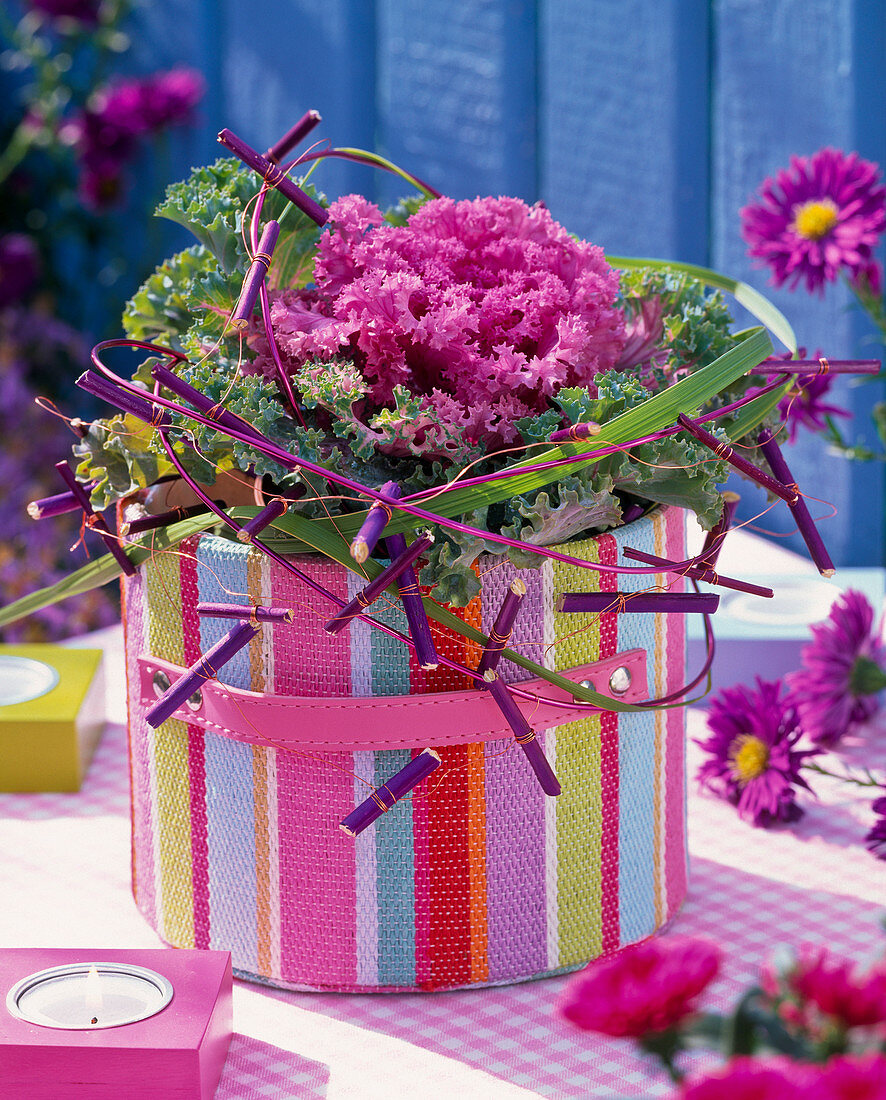 Brassica (ornamental cabbage) in a colourful round fabric basket