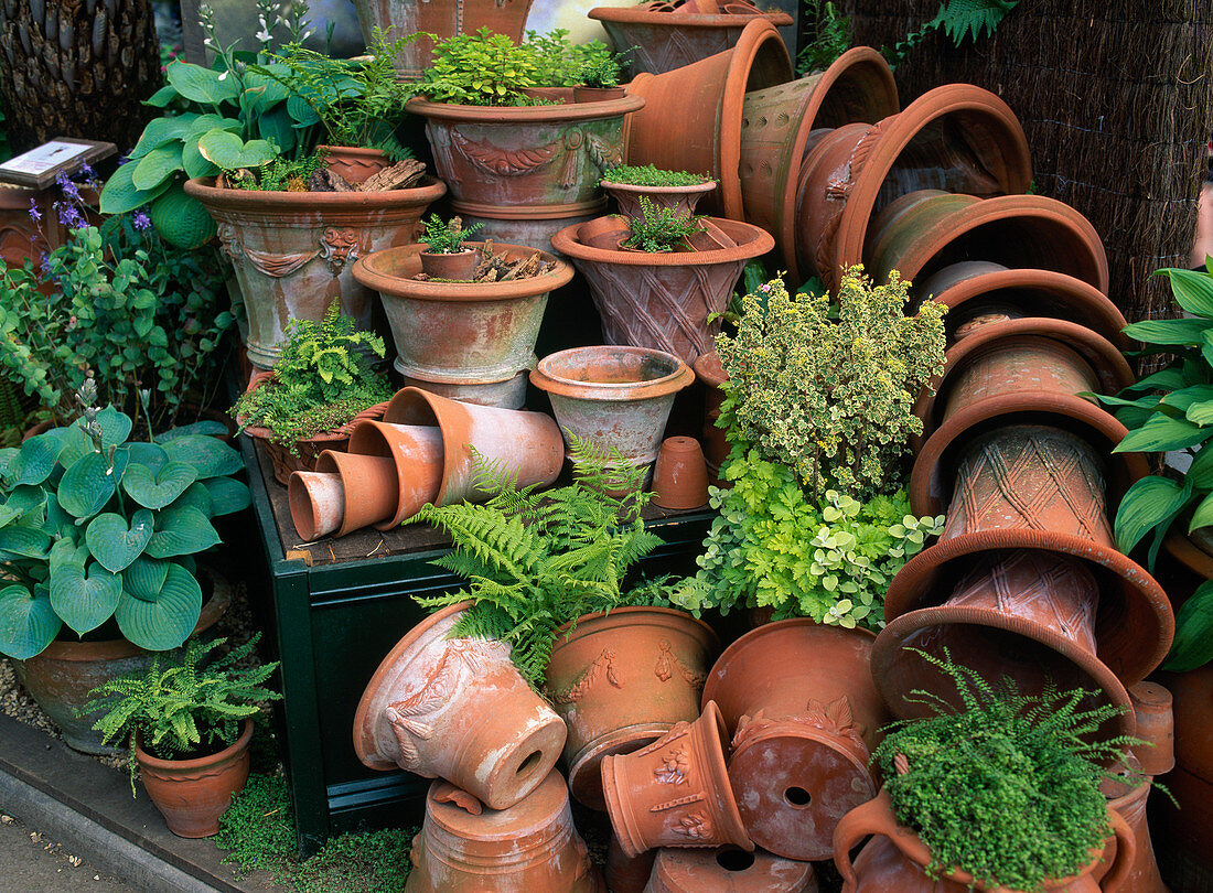 Terracotta pots