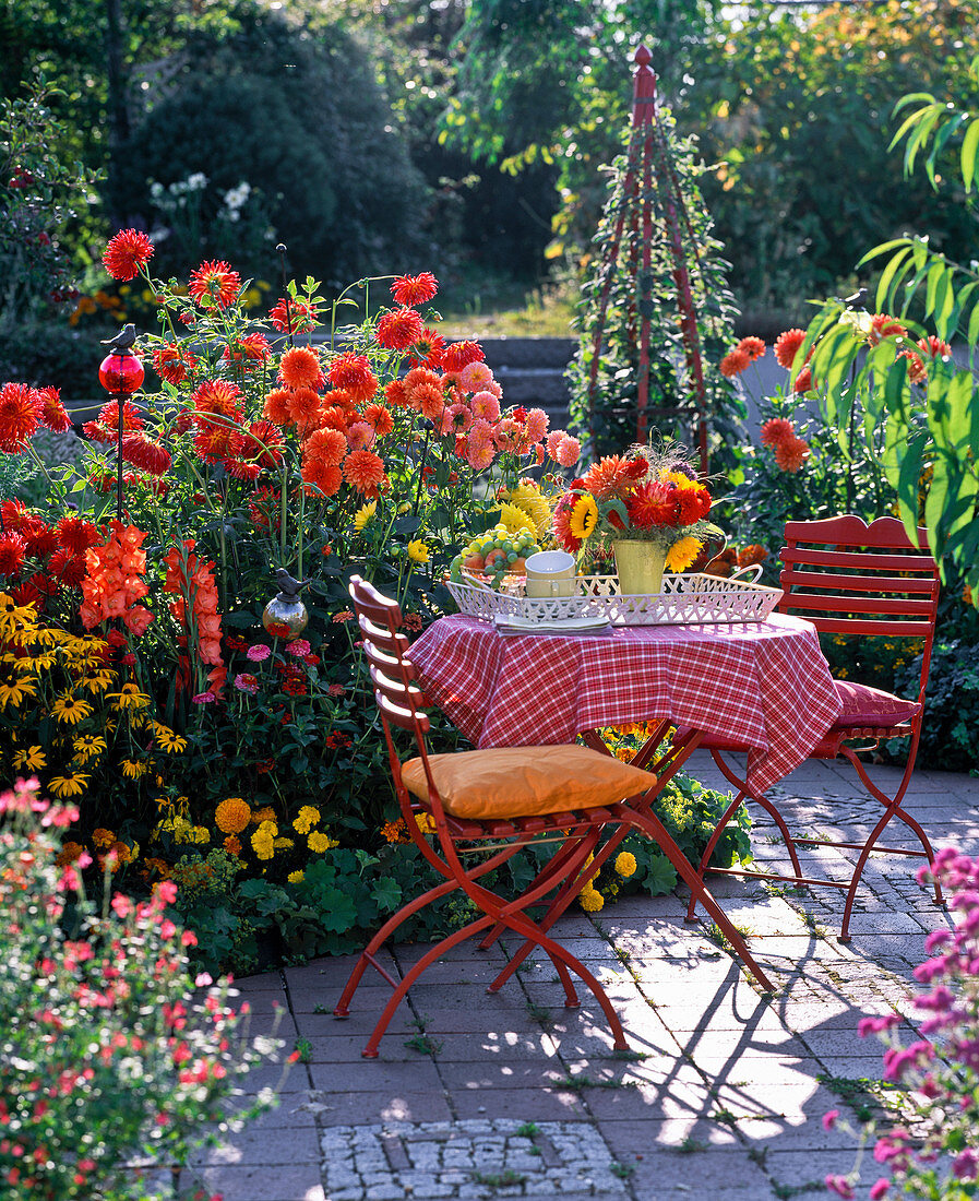 Terrace bed with Dahlia, Gladiolus