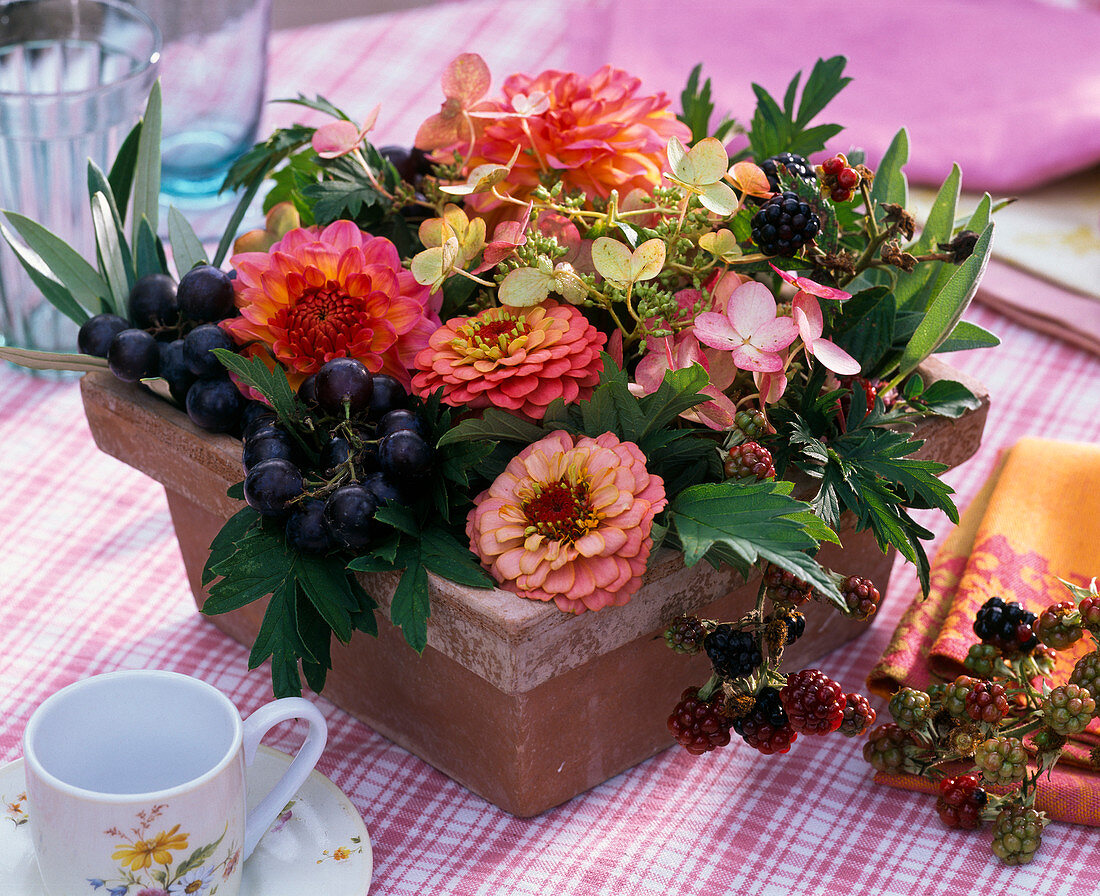 Gesteck aus Zinnia (Zinnien), Vitis (Weintrauben), Rubus (Brombeeren)