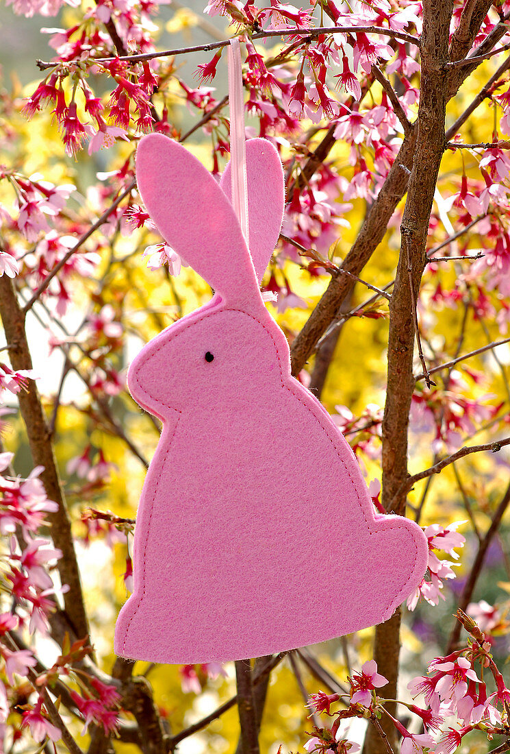Easter bunny made of pink felt hung on Prunus (ornamental cherry)