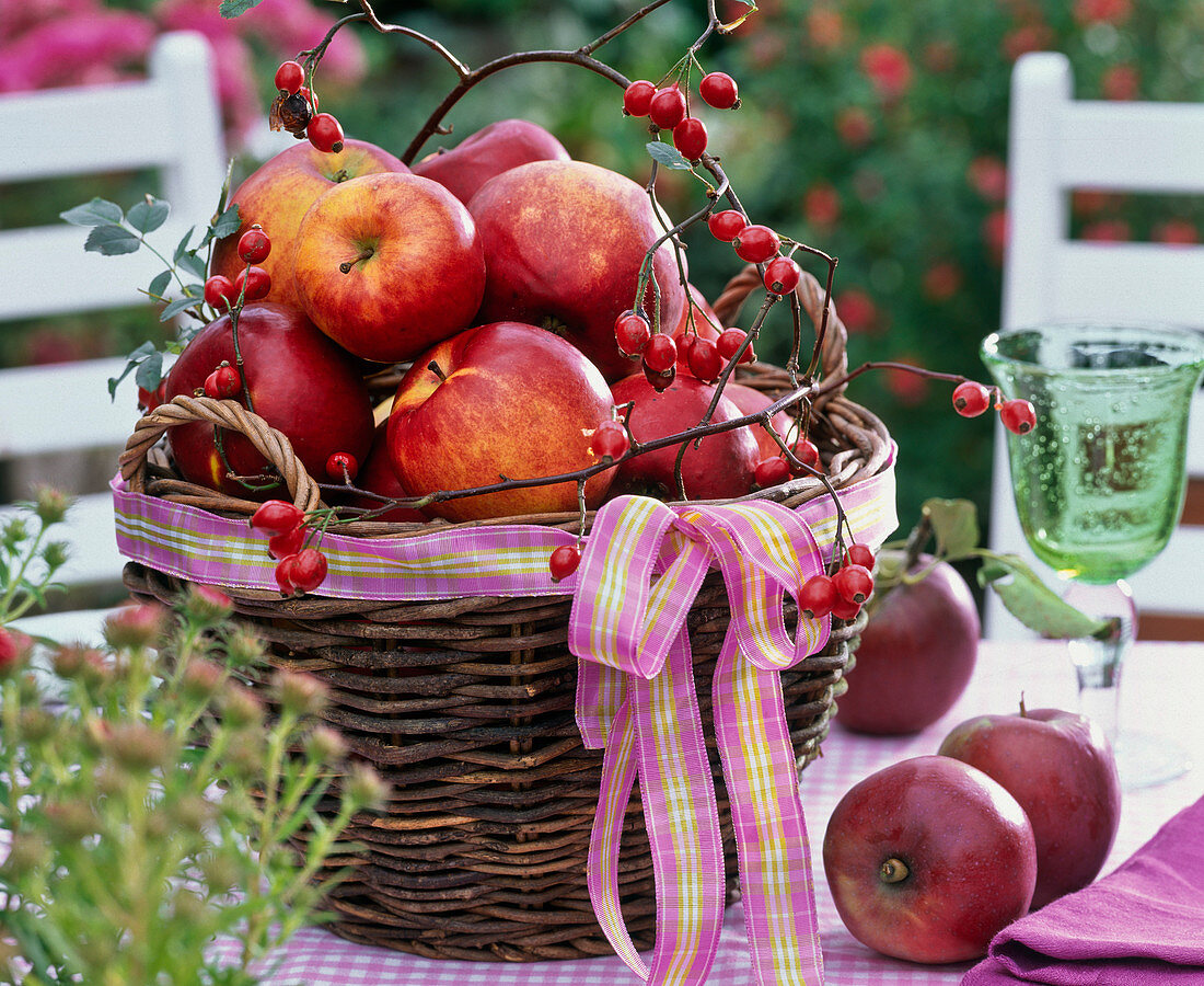 Malus (Äpfel) in Korb dekoriert mit Hagebutten und Schleife
