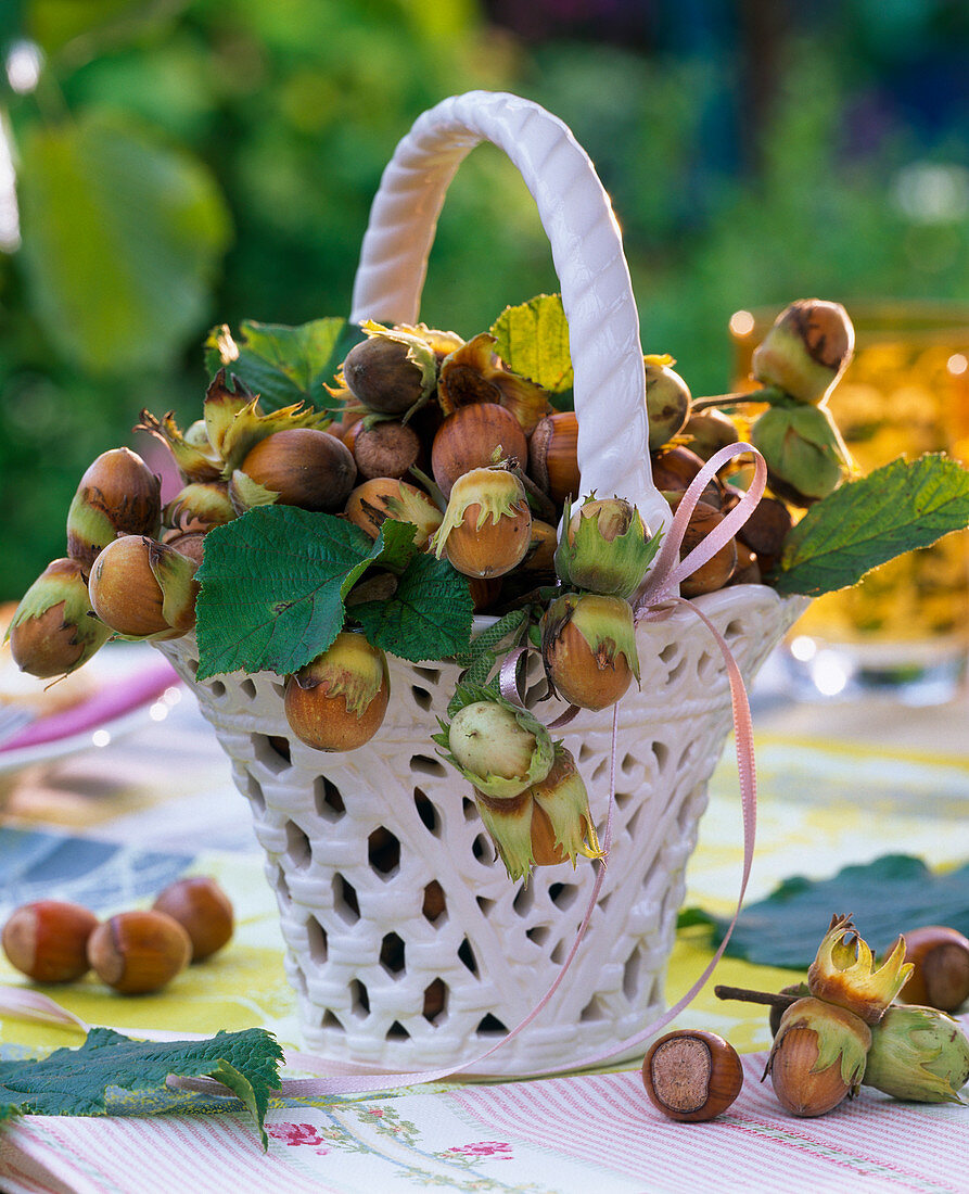 Corylus (hazelnuts) in a porcelain basket